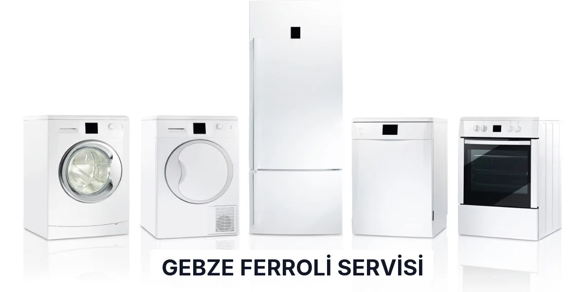 Gebze Ferroli Servisi