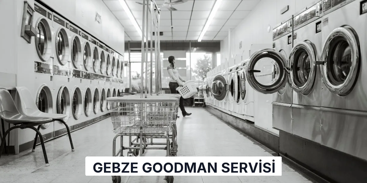 Gebze Goodman Servisi
