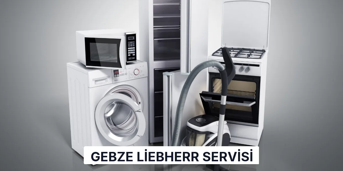 Gebze Liebherr Servisi